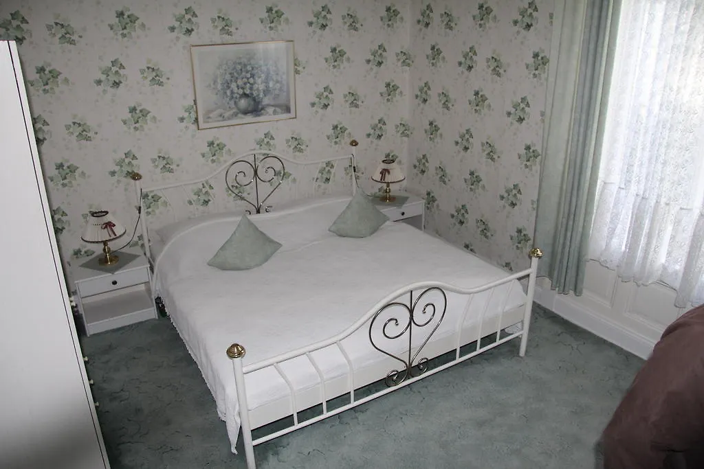 Hotel-Fink Amburgo 0*,  Germania